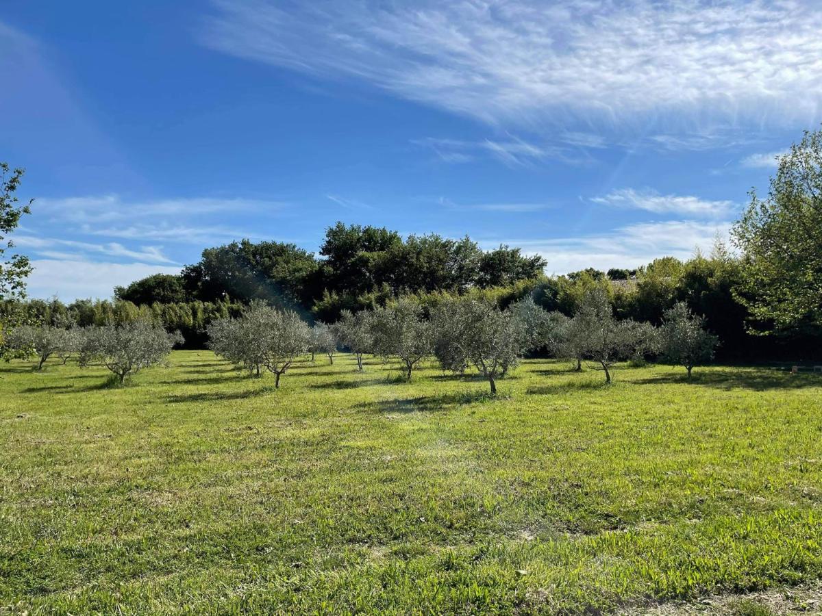 Appartement De Charme Sud Luberon Classe 4 Etoiles Puyvert Εξωτερικό φωτογραφία